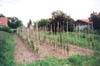 GARTEN10