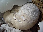 IMGP9598